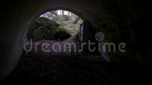 从隧道出口到苔藓遗址视频的预览图