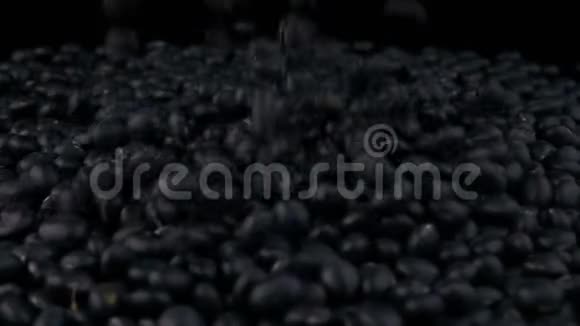 一堆黑豆视频的预览图