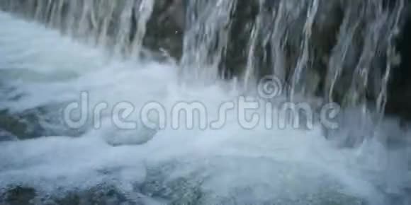 平静森林中的小瀑布视频的预览图