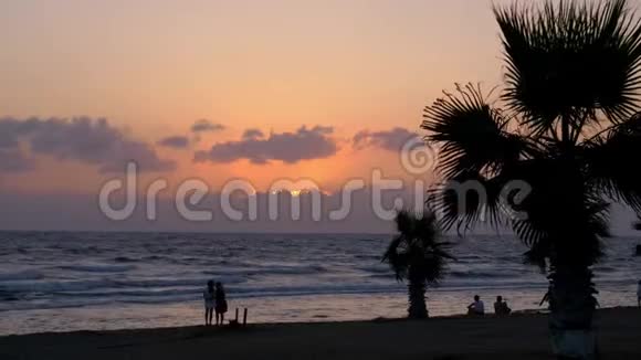 日落时有波浪的海岸线视频的预览图