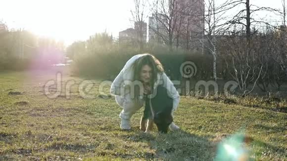 一个公园里的女人日落时带着一只有趣的德国牧羊犬和宠物一起散步放松视频的预览图