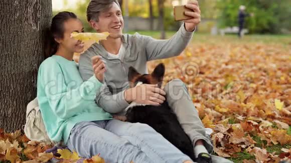 可爱的情侣男人和女人在智能手机上自拍可爱的三色威尔士科尔吉狗在城市公园拥抱放松视频的预览图