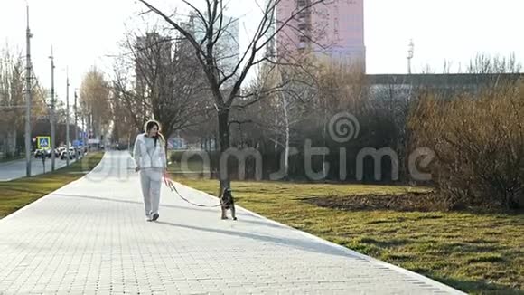 在一个凉爽的春天早晨一个女人和一只有趣的狗在公园的小巷里散步在散步时放松视频的预览图