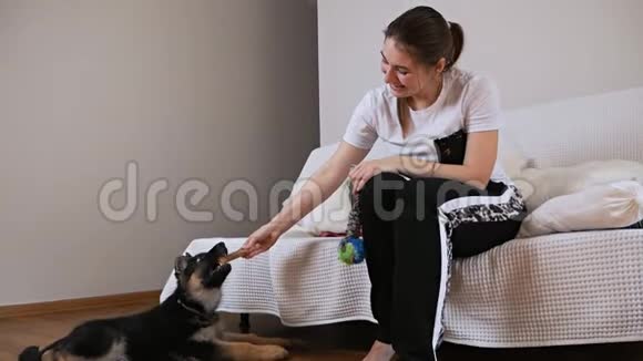 可爱的年轻女人带着一根骨头一个玩具玩一只德国牧羊犬最喜欢的宠物视频的预览图