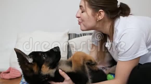 年轻快乐微笑的女人在玩拥抱一只德国牧羊犬室内特写护理教育的概念视频的预览图