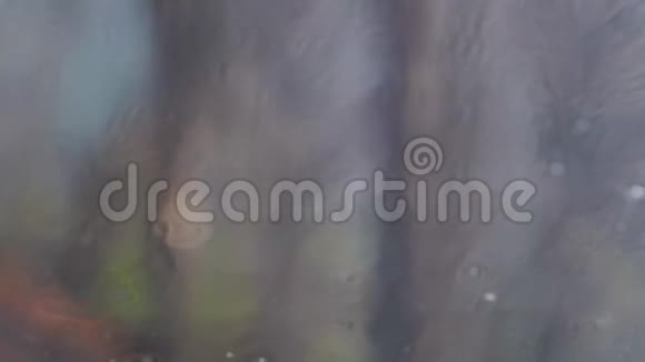 雨滴在车窗玻璃上视频的预览图