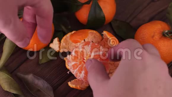 带叶子的橘子视频的预览图