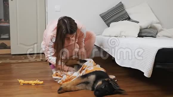 一个女人照顾她的宠物在浴室洗澡后用毛巾擦干一只德国牧羊犬护理概念视频的预览图