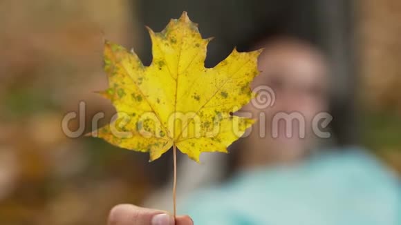 美丽的年轻欢快的微笑着的女人在秋天的公园里玩着鲜艳的橙色叶子视频的预览图