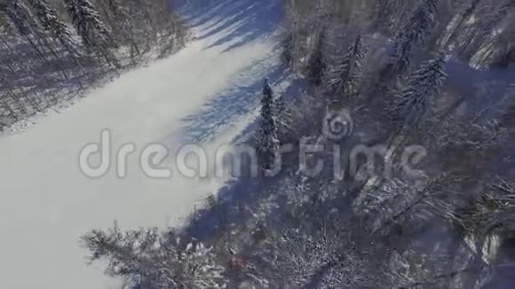 山径雪视频的预览图