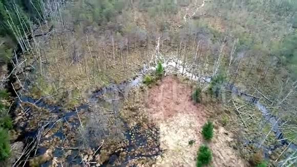 在沼泽和森林上空进行空中飞行视频的预览图
