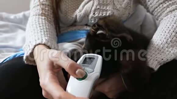 女孩用电子医用红外线体温计检查狗狗的温度视频的预览图