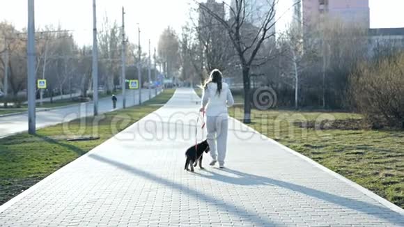 在一个凉爽的春天早晨女人带着一只滑稽的狗沿着公园的小巷跑和一只散步休息视频的预览图