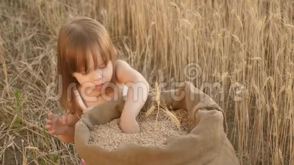 小儿子农夫女儿在田里玩小男孩正在麦田里的麻袋里玩谷物儿童视频的预览图