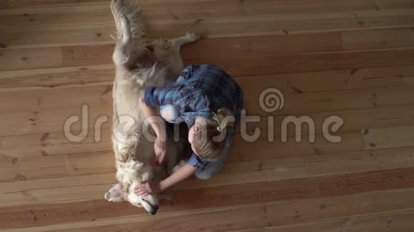 宠物护理女人正在家里梳一只大的金毛犬和一把金属梳梳顶部视图视频的预览图