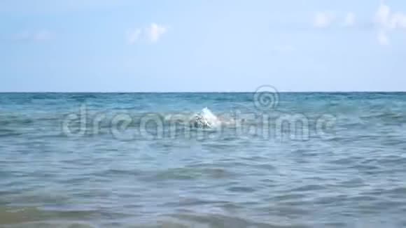 一个人在海里游泳视频的预览图