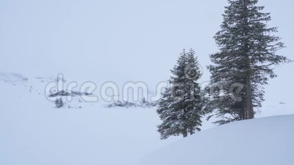 冬天的童话雪景视频的预览图