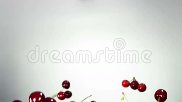 美丽的新鲜成熟多汁的红樱桃樱桃苍蝇在空中旋转和坠落视频的预览图