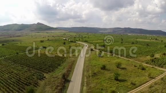穿过罗马尼亚多布罗加葡萄园的乡村公路视频的预览图