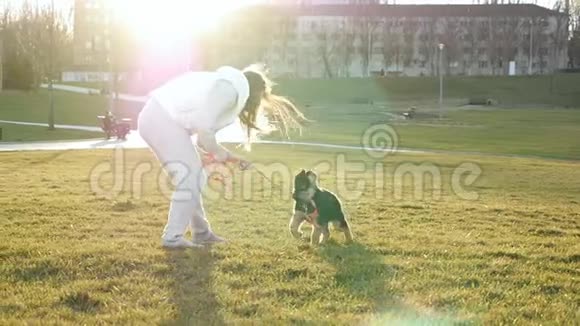 迷人的时尚女孩正在公园里和一只小狗玩慢动作狗在户外享受阳光明媚的日落笑着视频的预览图