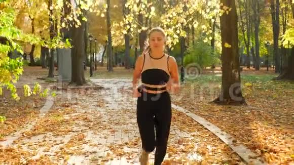 4k视频美丽的年轻女子穿着性感的运动衫在大树下的秋天公园的小路上奔跑视频的预览图