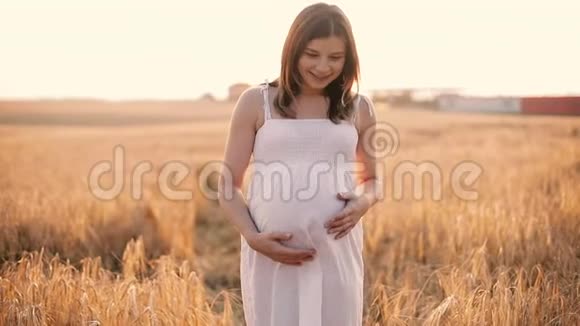 美丽的孕妇抚摸她的腹部视频的预览图