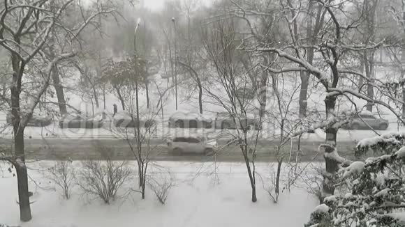城里下雪的日子视频的预览图