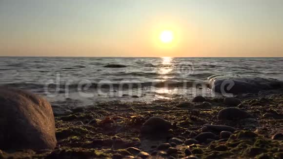 日出和大海视频的预览图