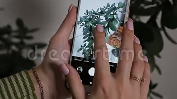 女性手做一张盆栽的照片一个年轻的女孩在电话里拍家庭植物的照片生态博客视频的预览图