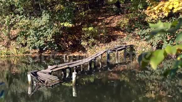 河上的木桥视频的预览图