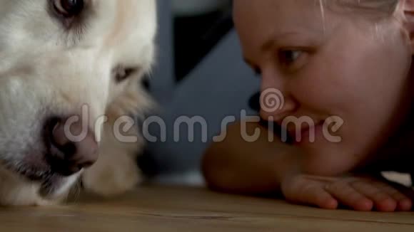 对宠物的爱地板上的一只大狗正在他的情妇旁边休息特写镜头视频的预览图