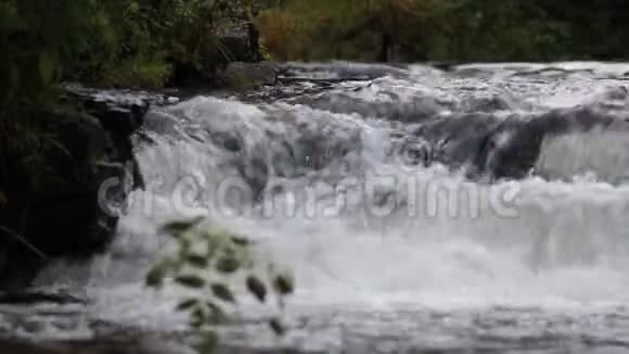 加拿大清新干净的瀑布视频的预览图
