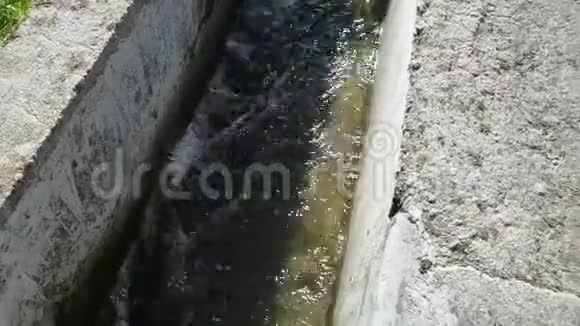 阿鲁纳恰尔邦河流中的水的处理视频的预览图