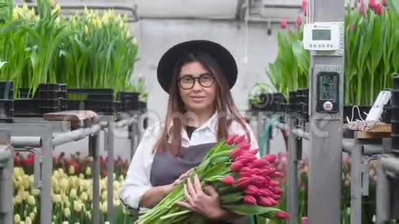 种花棚种植植物带郁金香的女园丁视频的预览图