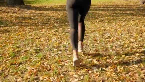 特写4k镜头从脚慢慢移动到头美丽的运动女子在秋天公园慢跑视频的预览图