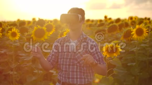 一个进步的现代农民在一个领域向日葵使用VR技术模拟应用程序用户界面视频的预览图