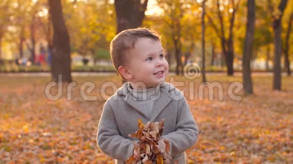 小男孩把树叶扔了视频的预览图