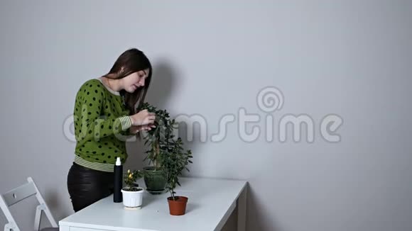一个欧洲年轻的女人在一个罐子里照顾一个家的植物女孩轻轻地擦拭着一棵榕树的绿叶视频的预览图