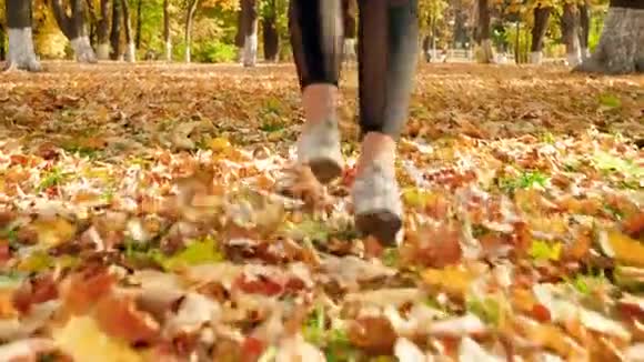 秋季公园里穿着黄色和红色落叶的运动鞋的女性脚的4k特写视频视频的预览图