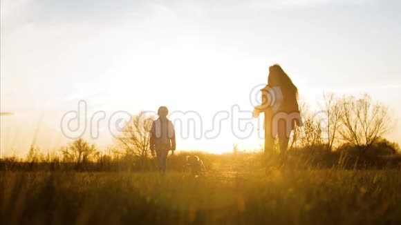 快乐的妈妈和宝宝在日落时和狗一起散步家庭生活主人抚摸宠物的手玩视频的预览图