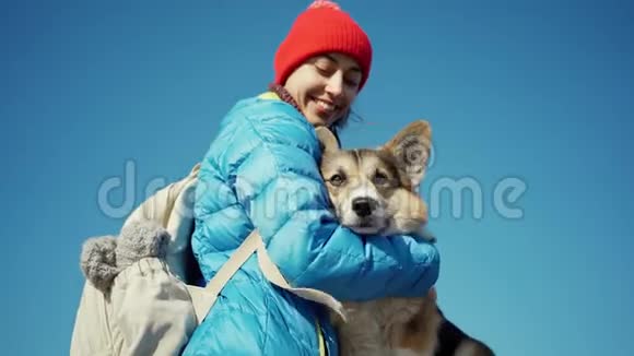 在阳光明媚的春天爱的年轻女人抚摸和拥抱可爱的科吉狗视频的预览图