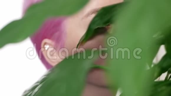 在工作室的白色背景下在异国植物中拥有干净皮肤的女孩的脸视频的预览图