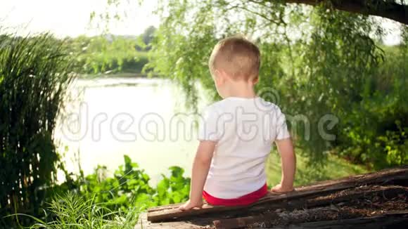 4k视频小男孩坐在河边的古树上向鸭子扔面包视频的预览图