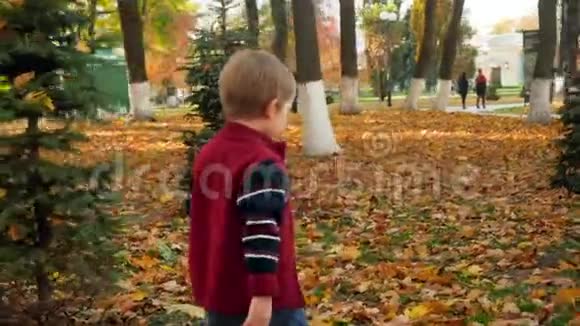 秋天公园里小男孩抱着黄叶在树间散步视频的预览图