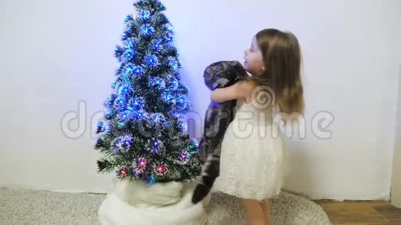 一个小女孩和一只猫在孩子们房间里的圣诞树附近玩耍宝贝和圣诞树圣诞节假期视频的预览图