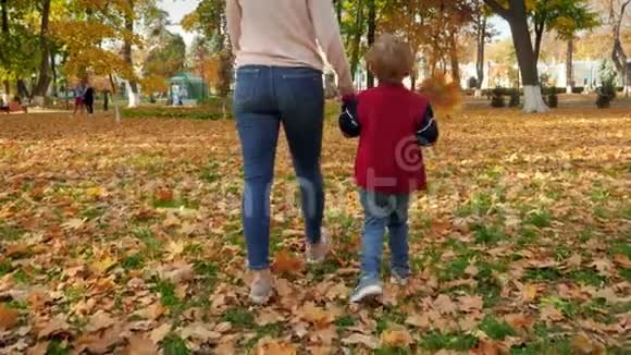 4k视频带黄叶的幼儿男孩与年轻母亲在秋天公园散步视频的预览图