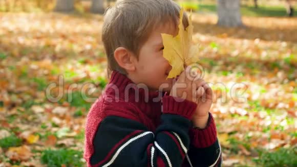 4k视频可爱快乐的小男孩微笑着透过黄色的秋天树叶在镜头里视频的预览图