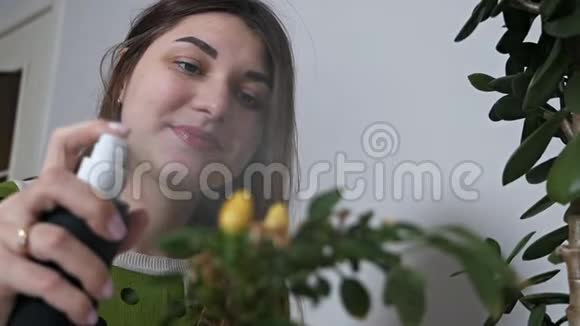 美丽的年轻女士在绿色植物上泼水家里用一个喷雾瓶做西红柿照顾着视频的预览图