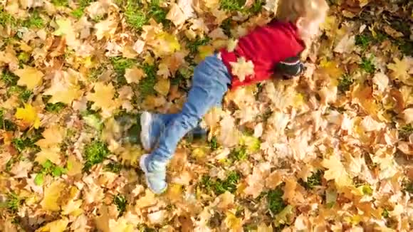 在秋天公园的草地上快乐地笑着的小男孩在草地上嬉戏在树叶上翻滚视频的预览图