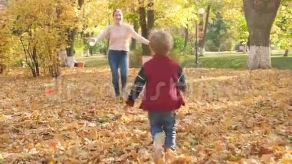 4k视频欢快的小男孩跑向年轻的mtoher和秋天公园拥抱她视频的预览图